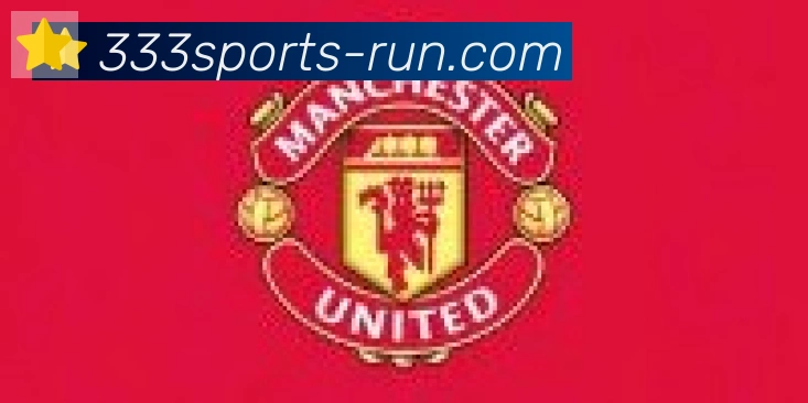 333体育合作伙伴